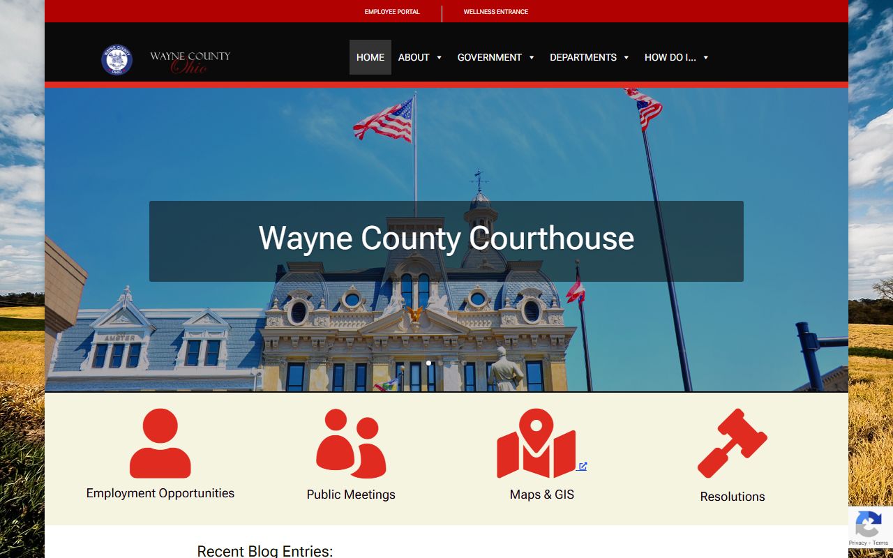 Wayne County divorce decree court of common pleas